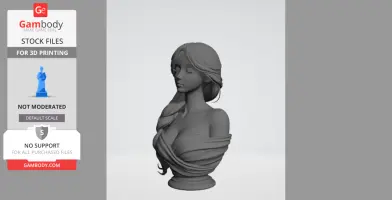A 3D-printed female bust with detailed hair and draped clothing.