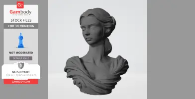A 3D printed female bust with detailed hair and draped clothing.