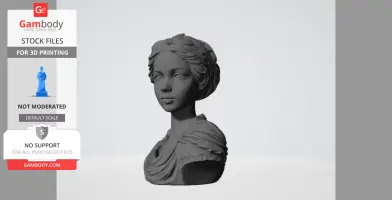 3D-printed classical bust of a woman with draped clothing and detailed hair.