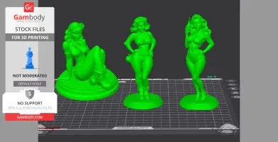 PIN-UP GIRLS COLLECTION 2025 STL Files