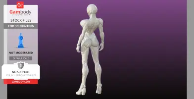 A sleek, futuristic cyborg in a standing pose, showcasing smooth, detailed robotic features.