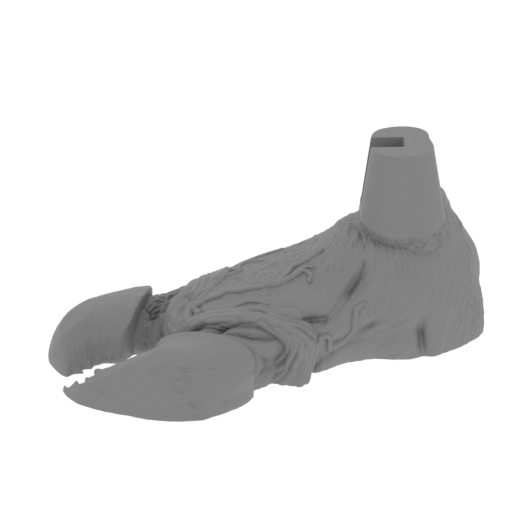 8_foot_R_FDM(repaired).stl