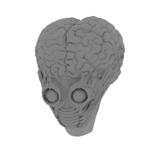 1_head_FDM(repaired).stl