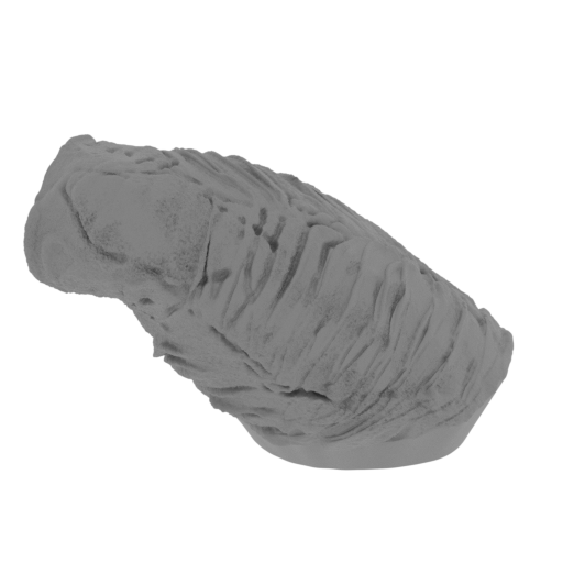 9_leg_R_1_FDM(repaired).stl