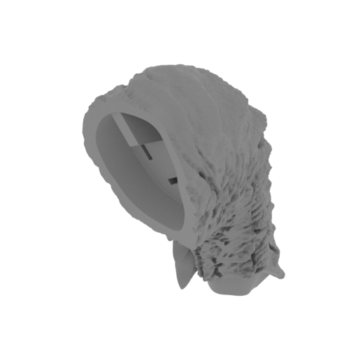 14_tail_2_FDM(repaired).stl