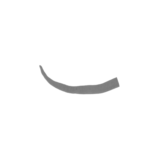 6_tail_3_FDM(repaired).stl
