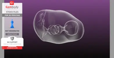 Anatomical male Masturbator