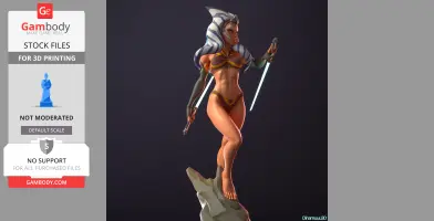 Ahsoka Tano from Star Wars 3D Print Files STLs