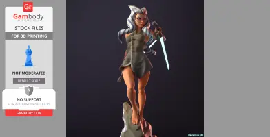 Ahsoka Tano from Star Wars 3D Print Files STLs