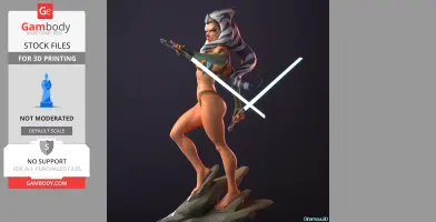 Ahsoka Tano from Star Wars 3D Print Files STLs
