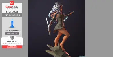 Ahsoka Tano from Star Wars 3D Print Files STLs