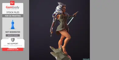 Ahsoka Tano from Star Wars 3D Print Files STLs