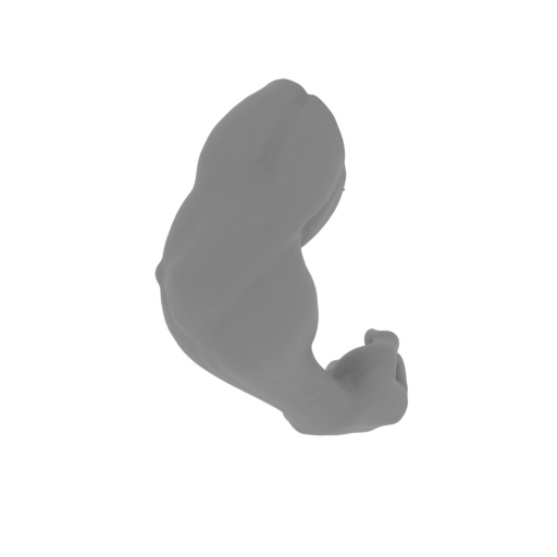 Silver Surfer_armn_R_SS1.stl