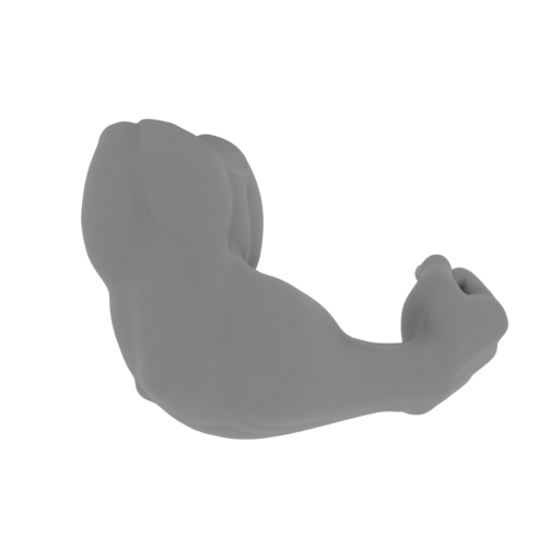 Silver Surfer bust_armn_R_SS.stl