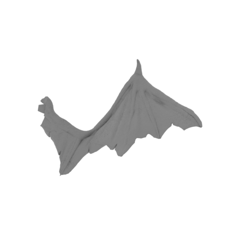 Dark Claw_left_wing.stl