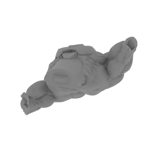 Magneto bust_body.stl