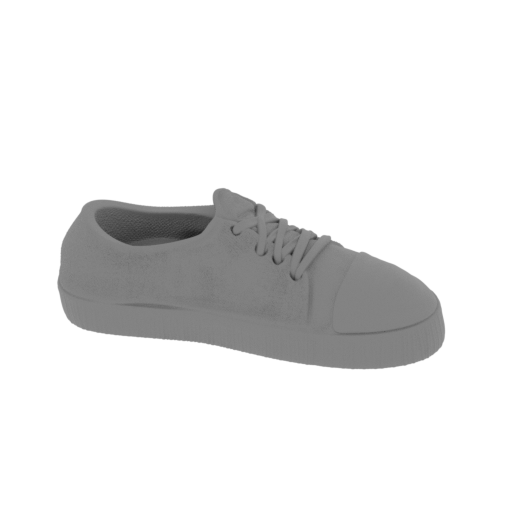 19_shoe_on_platform_FDM(repaired).stl