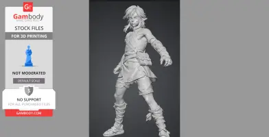 Link – Héros de la Légende