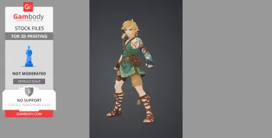 Link – Héros de la Légende