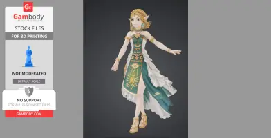 Zelda – Princesse Héroïque