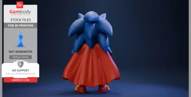 Sonic X Superman NO AMS