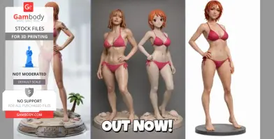 One Piece - Nami Collection 3D Print Model
