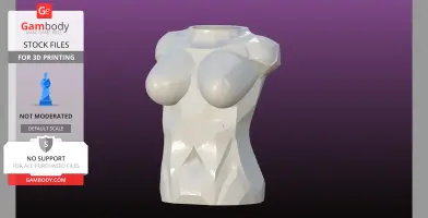 Female bust vase and Napkin holder