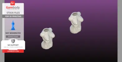 Female bust vase and Napkin holder