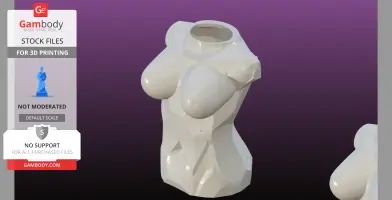 Female bust vase and Napkin holder