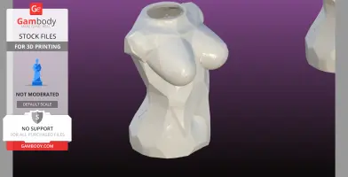 Female bust vase and Napkin holder