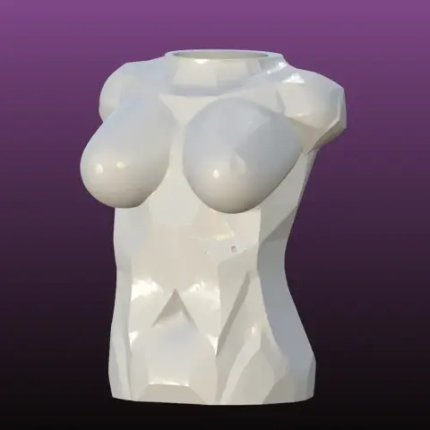Female bust vase and Napkin holder