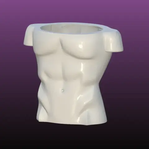 Male bust planter