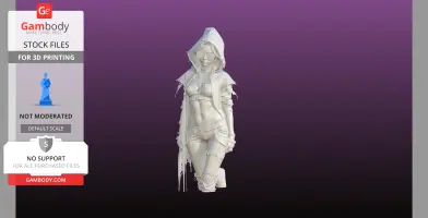 Hooded Assassin bust