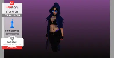 Hooded Assassin bust