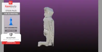 Hooded Assassin bust