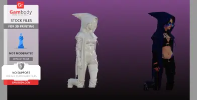 Hooded Assassin bust