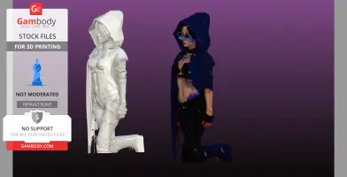 Hooded Assassin bust