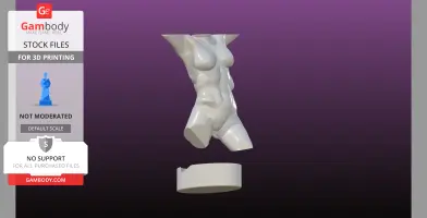 Sculpted Perfect female bust with loose base