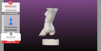 Sculpted Perfect female bust with loose base