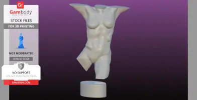 Sculpted Perfect female bust with loose base