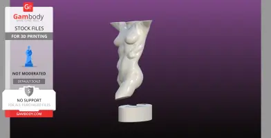 Sculpted Perfect female bust with loose base