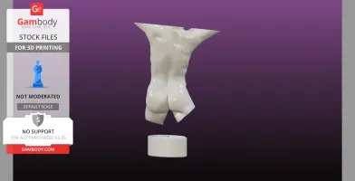 Sculpted Perfect female bust with loose base