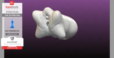 The Starfish, Male Masturbator