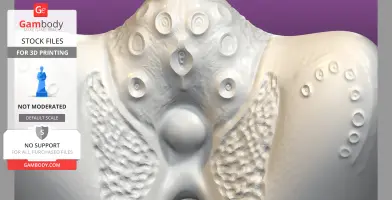 The Starfish, Male Masturbator