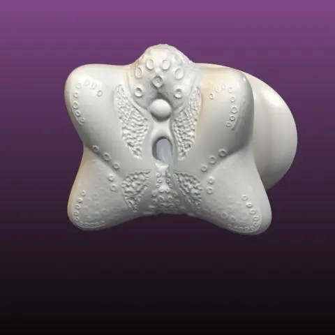 The Starfish, Male Masturbator