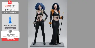 One Piece Anime Collection