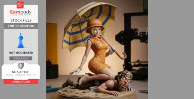 One Piece Anime Collection