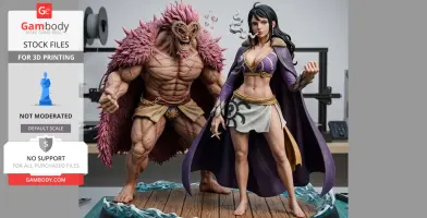 One Piece Anime Collection