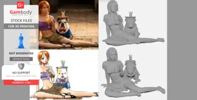 ONE PIECE - Nami Anime and Netflix Series