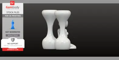 Decorative female and Vase Set